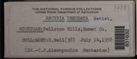 Image Associated With the Occurence